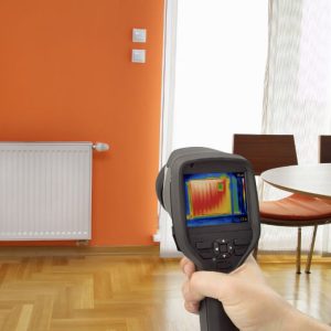 moisture mapping experts near me