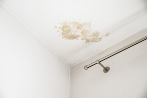 does home insurance cover leak detection